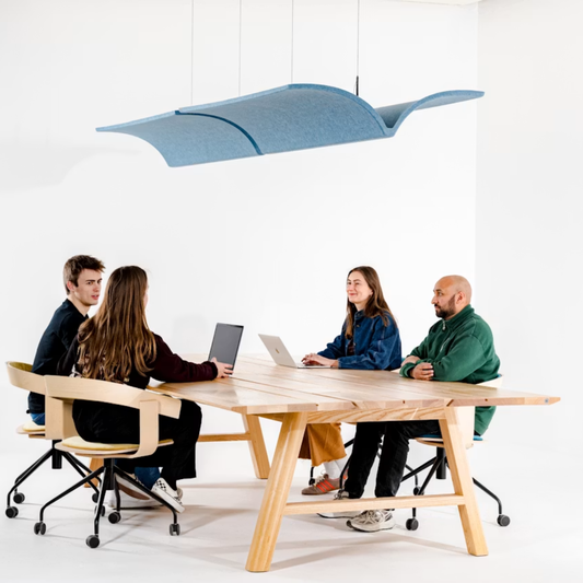 BuzziSpace | BuzziVault Acoustic Raft