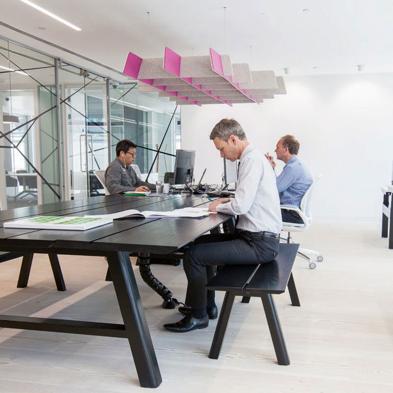 BuzziSpace BuzziGrid Acoustic Raft - Muffle Acoustics Limited